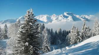 Winterwanderweg Weissenberge