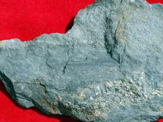 Bohrgang eines unbekannten Tieres als Spurenfossil in geschichteten Karbonsedimenten am Bifertengrätli