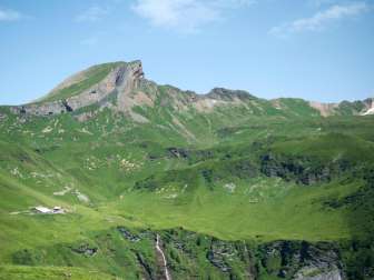 Die Hanen & Plättli Sennte Mühlebach / Magerrain / Wissmeilenpass