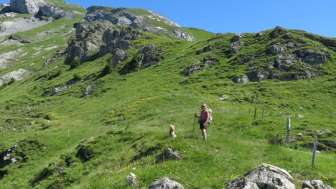 Aufsteig zur Alp Jetz