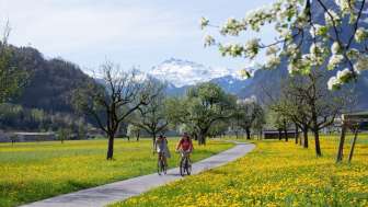 Veloweg Näfels-Netstal