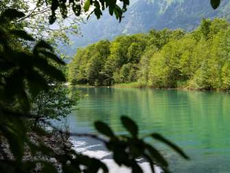 Eindrücke aus dem Waldreservat