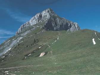 Fronalpstock