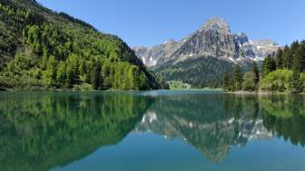 Obersee