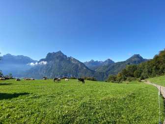 Plateau über Mollis