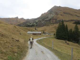 Alp Ramin