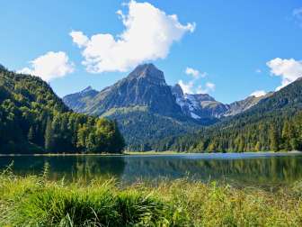 Obersee