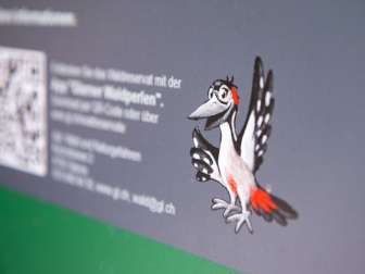 Infotafel Waldperlen Auengebiet Hinter Klöntal