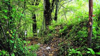 © Naturzentrum Glarnerland