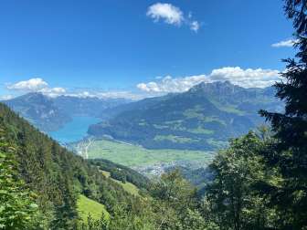 Blick vom Schwifärch