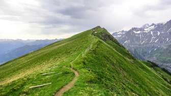 Weg Richtung Chamerstock