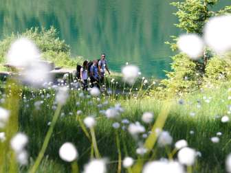 Der Mettmensee
