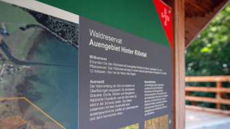 Infotafel Waldperlen Auengebiet Hinter Klöntal