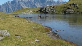 Entspannung am Wildmadseeli