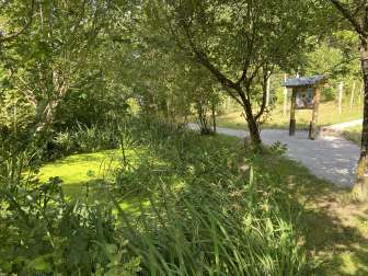 Bild der Natur um den Waldlehrpfad