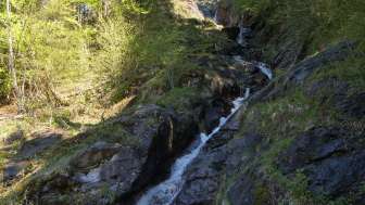 © Naturzentrum Glarnerland