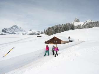 Braunwaldalp