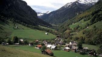 Weisstannen