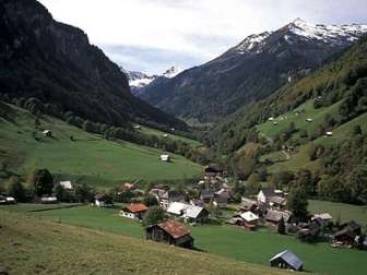 Weisstannen