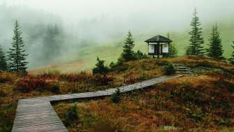 © Naturzentrum Glarnerland